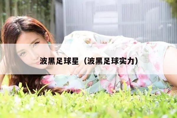 波黑足球星（波黑足球实力）