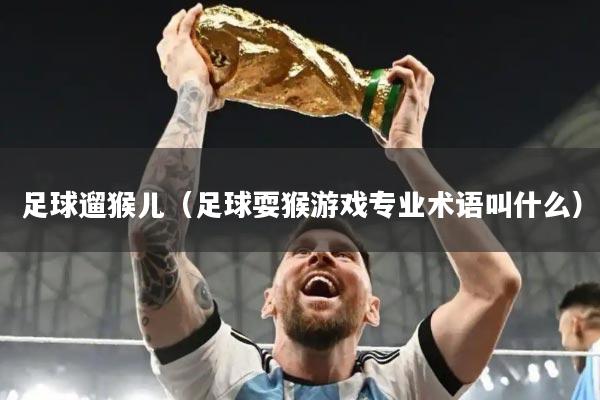 足球遛猴儿（足球耍猴游戏专业术语叫什么）