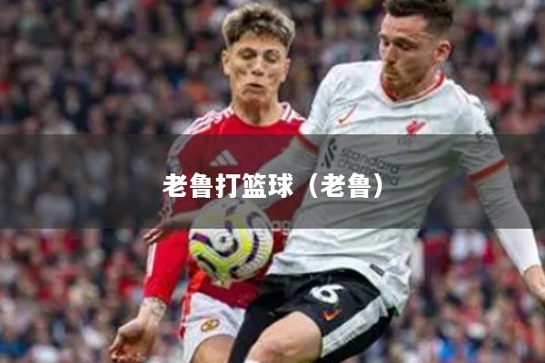 老鲁打篮球（老鲁）